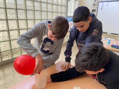 Les reflexions dels Doraemons